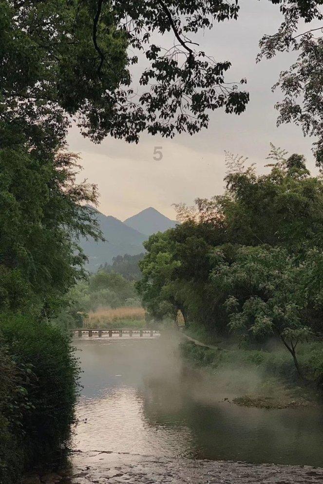 救援老画家